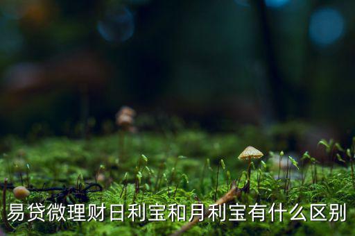 易貸微理財(cái)日利寶和月利寶有什么區(qū)別