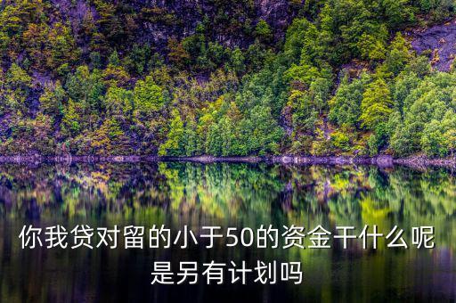 你我貸為什么我要投2萬(wàn)才能減50，你我貸對(duì)留的小于50的資金干什么呢是另有計(jì)劃嗎