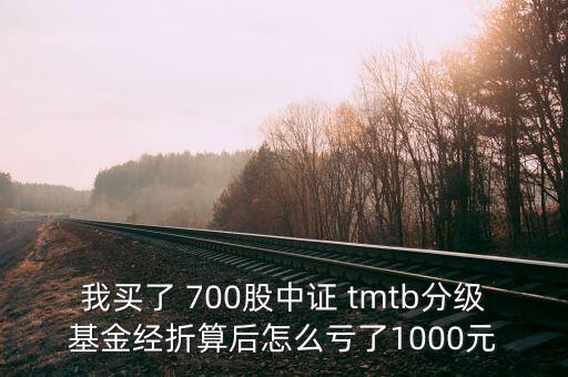 tmtb基金是什么股票，我買了 700股中證 tmtb分級(jí)基金經(jīng)折算后怎么虧了1000元