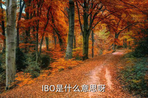 美股ibo是什么公司，IBO是什么意思呀