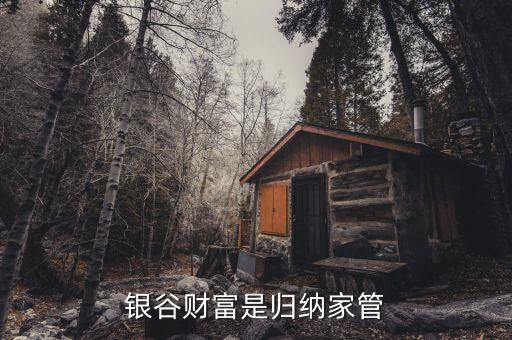 國家對銀谷財富是什么整策，銀谷財富是歸納家管