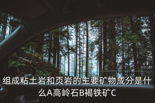 組成粘土巖和頁(yè)巖的主要礦物成分是什么A高嶺石B褐鐵礦C