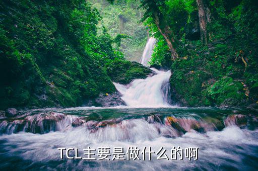 tcl房地產(chǎn)主要干什么的，TCL主要是做什么的啊