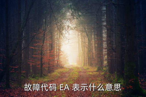 華泰ea什么意思，故障代碼 EA 表示什么意思