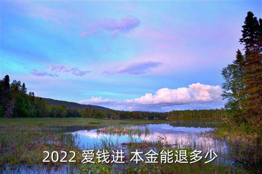 2022 愛錢進(jìn) 本金能退多少