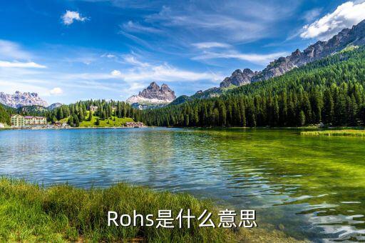 Rohs是什么意思