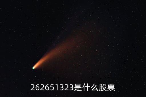 208393股票是什么，262651323是什么股票