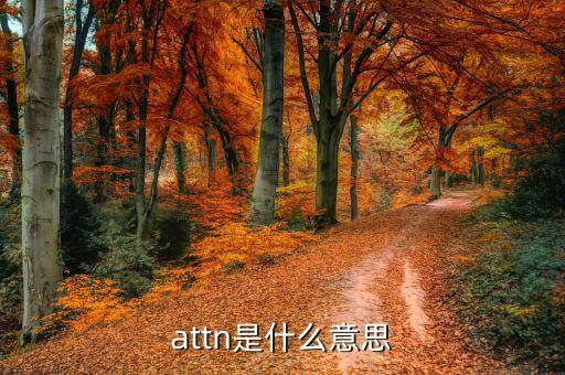 丙方是什么意思，attn是什么意思