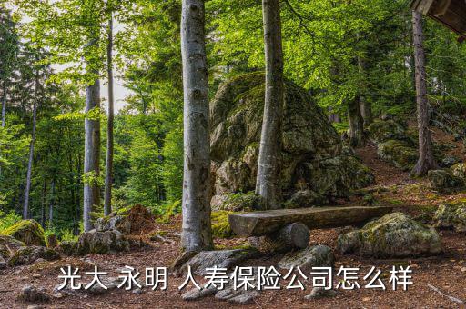  光大 永明 人壽保險(xiǎn)公司怎么樣