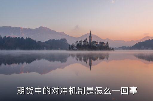  期貨中的對沖機制是怎么一回事