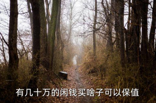有幾十萬(wàn)的閑錢買啥子可以保值