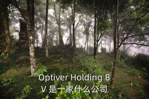 什么是nyme原油，Optiver Holding BV 是一家什么公司