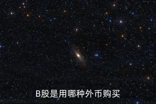 b股分紅支付什么貨幣，B股是用哪種外幣購(gòu)買