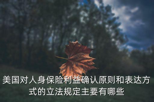 美國對人身保險(xiǎn)利益確認(rèn)原則和表達(dá)方式的立法規(guī)定主要有哪些