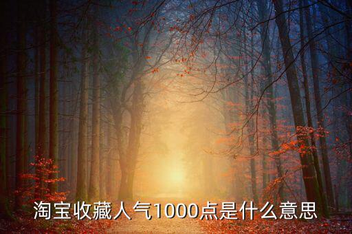 1000點2000點什么意思，加拿大簽證中1000 2000什么意思