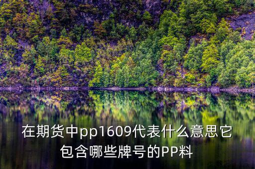 在期貨中pp1609代表什么意思它包含哪些牌號(hào)的PP料