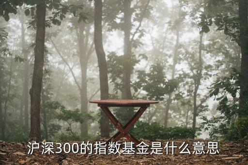 基金滬深300什么，滬深300的指數(shù)基金是什么意思