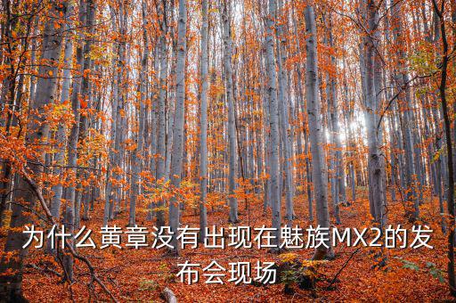 為什么黃章沒有出現(xiàn)在魅族MX2的發(fā)布會現(xiàn)場