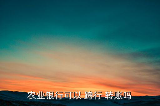 農(nóng)業(yè)銀行可以 跨行 轉(zhuǎn)賬嗎