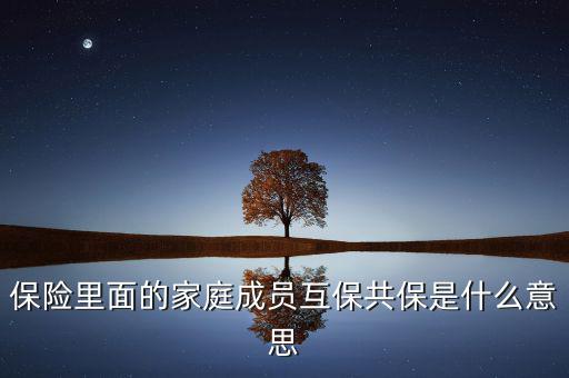 什么是共同被保險(xiǎn)人，保險(xiǎn)里面的家庭成員互保共保是什么意思