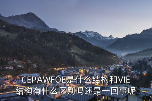 CEPAWFOE是什么結構和VIE結構有什么區(qū)別嗎還是一回事呢