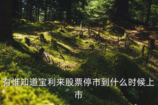 寶利來什么時(shí)候成為st股的，正常的股票變成st的具體時(shí)間