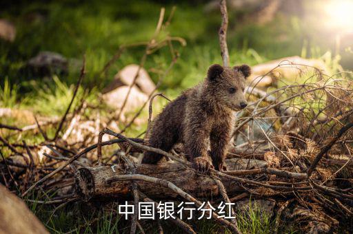 中國(guó)銀行股票分紅在什么時(shí)候，中國(guó)銀行的A股每年的什么時(shí)候分紅