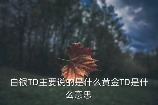 白銀TD主要說(shuō)的是什么黃金TD是什么意思