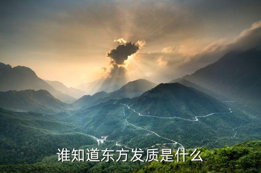 誰知道東方發(fā)質是什么