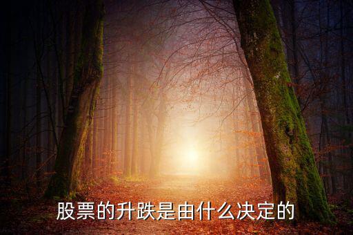 股票根據(jù)什么跌升，股票的升跌是由什么決定的