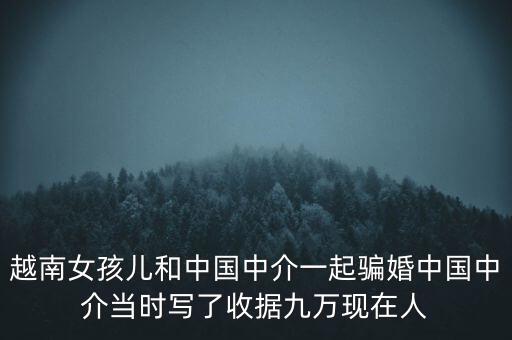 越南女孩兒和中國中介一起騙婚中國中介當(dāng)時寫了收據(jù)九萬現(xiàn)在人