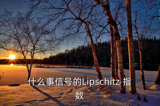 什么事信號的Lipschitz 指數(shù)