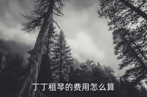 丁丁租琴的費(fèi)用怎么算