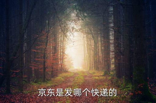 京東自營(yíng)是發(fā)什么快遞，京東的自營(yíng)產(chǎn)品一般發(fā)什么物流先謝謝大家了