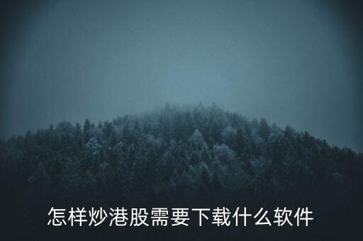 港股資金進(jìn)出用什么軟件，現(xiàn)在內(nèi)地的炒股滬港通用什么軟件