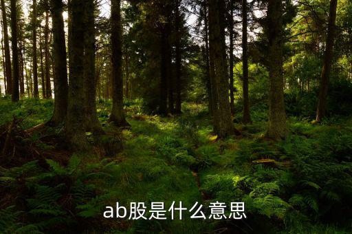 ab股什么意思，AB股是什么意思