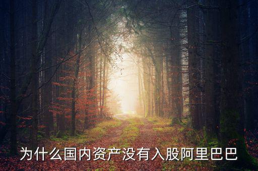 當(dāng)初為什么沒投阿里巴巴，為什么國內(nèi)資產(chǎn)沒有入股阿里巴巴