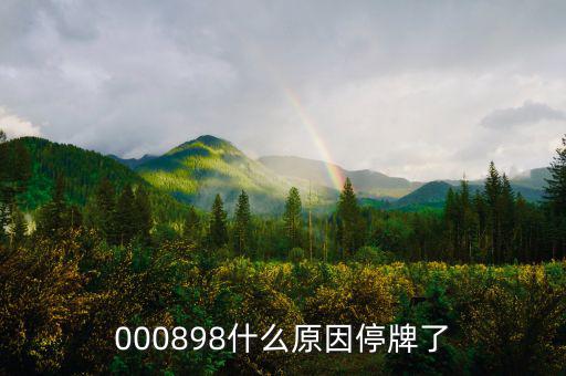 華資實(shí)業(yè)為什么停牌，000009今天為何停牌