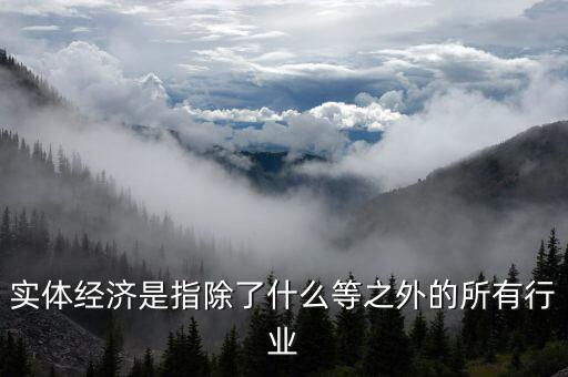 實體經濟是指除了什么等之外的所有行業(yè)