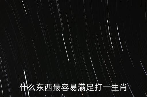 什么東西最容易滿足打一生肖