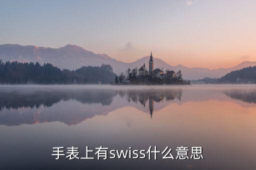 歐行手表什么意思，手表上有swiss什么意思