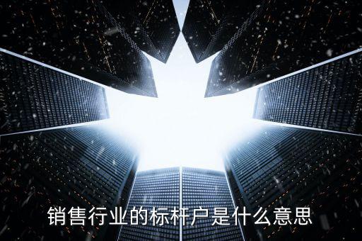 銷售行業(yè)的標桿戶是什么意思