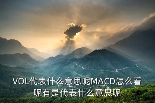 VOL代表什么意思呢MACD怎么看呢有是代表什么意思呢