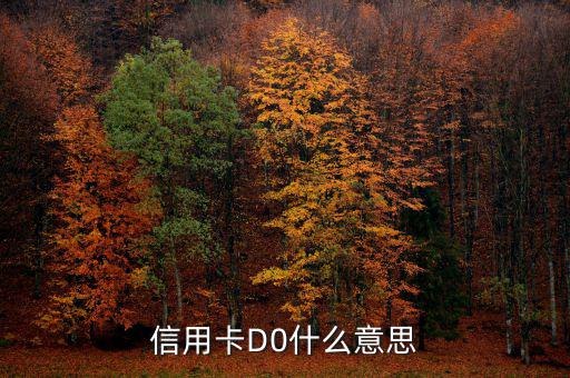 預(yù)付卡的贖回是什么意思，信用卡D0什么意思