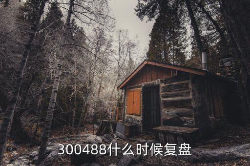 300488什么時(shí)候復(fù)盤(pán)