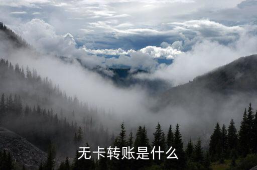 什么是無卡轉(zhuǎn)賬，什么叫無卡轉(zhuǎn)賬