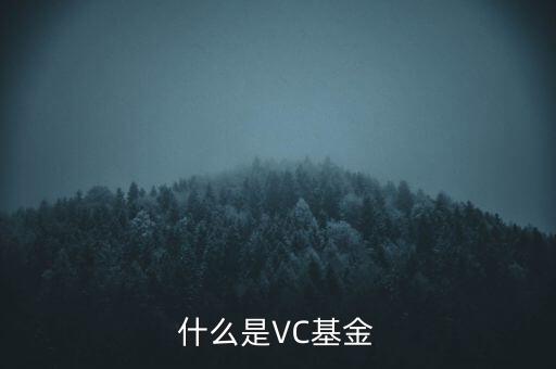 vc基金是什么，什么叫VC基金