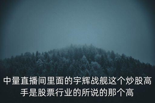 中量直播間里面的宇輝戰(zhàn)艦這個(gè)炒股高手是股票行業(yè)的所說(shuō)的那個(gè)高