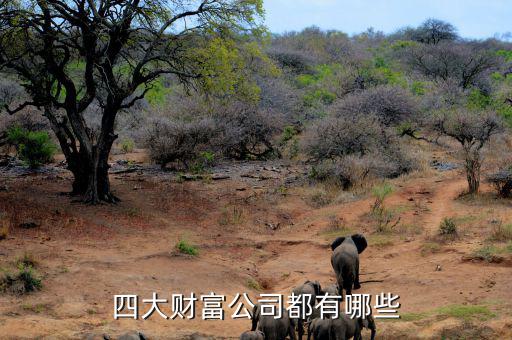 重啤集團(tuán)還有什么資產(chǎn)，四大財(cái)富公司都有哪些