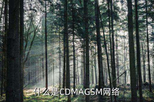 電信cdma是什么網(wǎng)絡(luò)，cdma是什么網(wǎng)絡(luò)